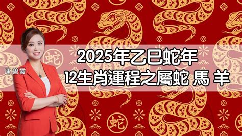 2025 年生肖|麥玲玲蛇年運程2025│十二生肖蛇年運勢排行榜＋財運/桃花/事業。